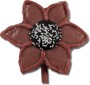 Flower Sunflower Maroon