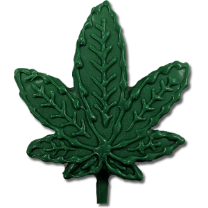 Marijuana Leaf