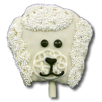 Poodle White