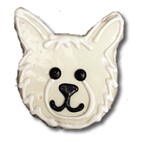 Samoyed