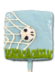 Soccer In The Net