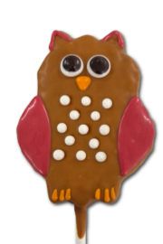Owl Fall